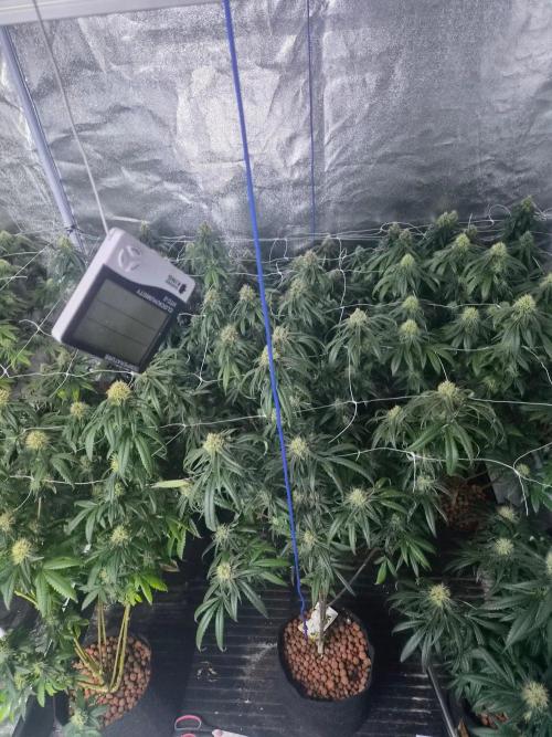 New set up. Week 12