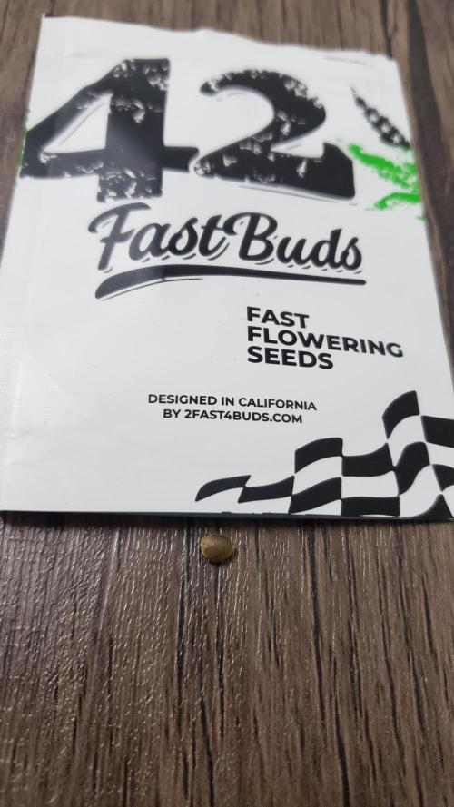 Gorilla Cookies FF - Outdoor 2026. Week 0