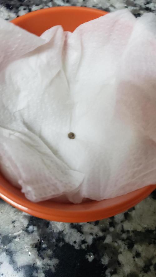 Gorilla Cookies FF - Outdoor 2026. Week 0