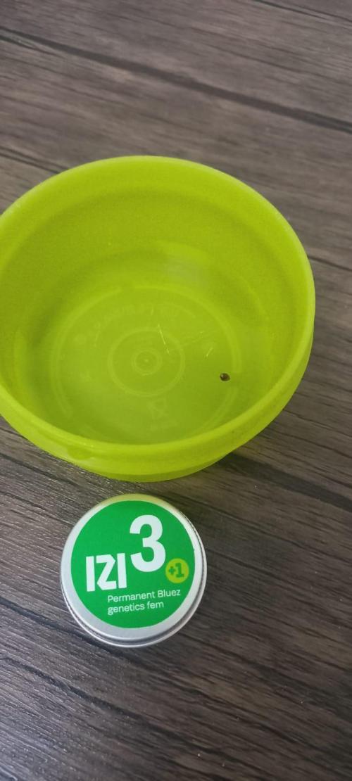 Permanent Bluez indoor. Week 0