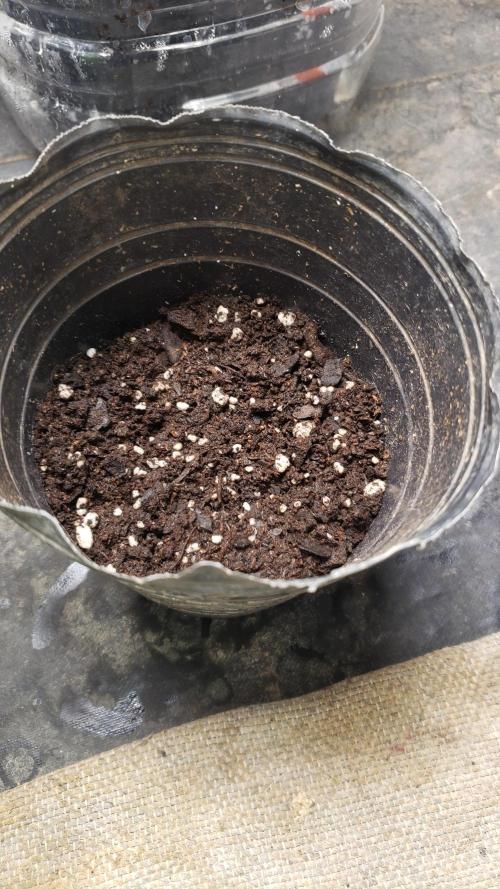 Permanent Bluez indoor. Week 1