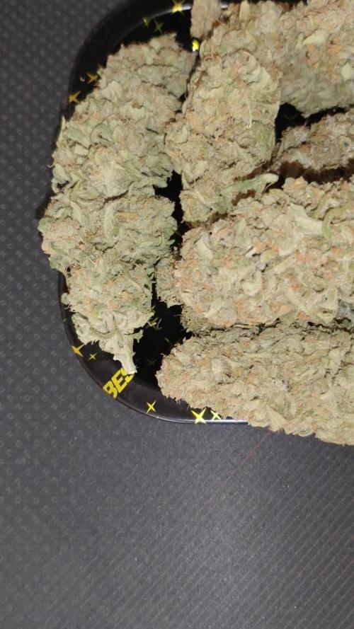 Gold Bar Kush