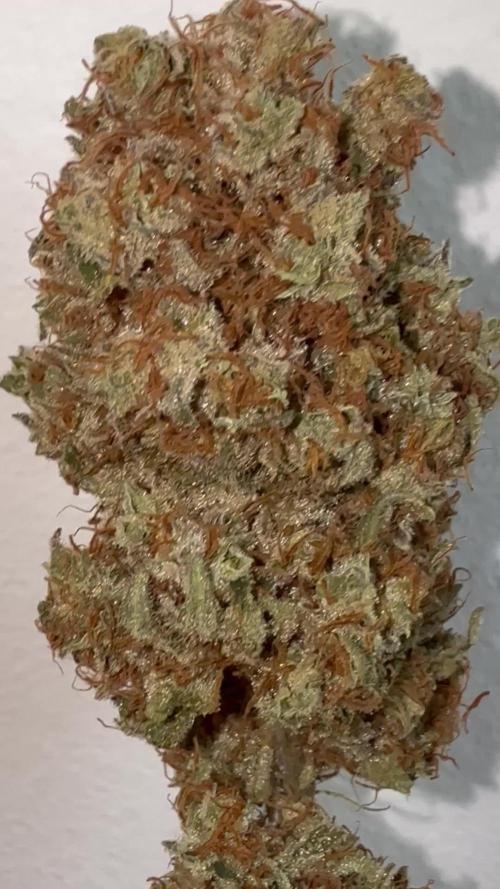 Gelato