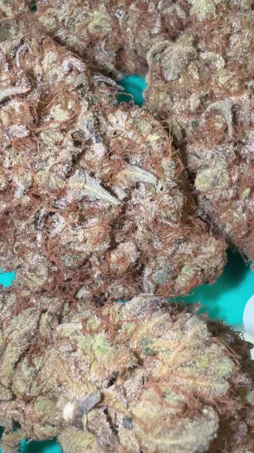 Afghani Gold
