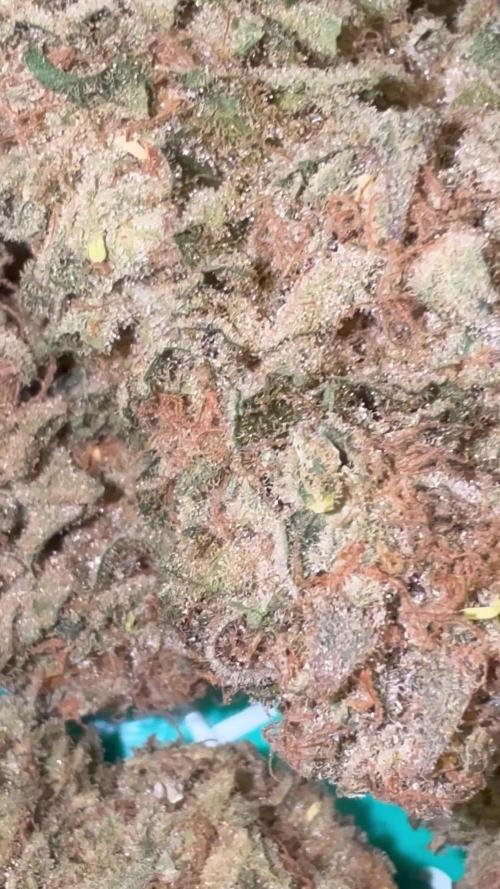 Super Skunk