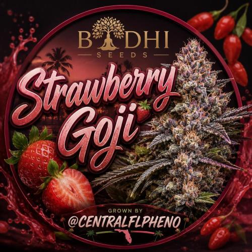 Strawberry Goji. Week 14