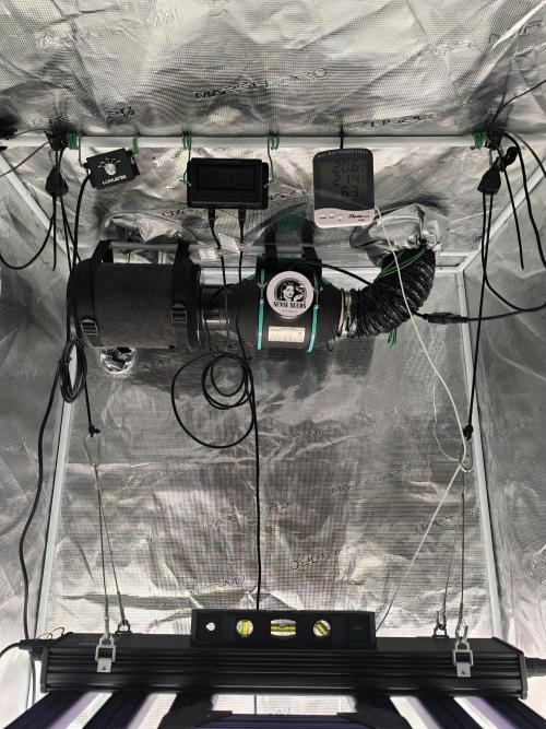 Pineapple express/ Bruce banner 2K26. Week 1 - #1