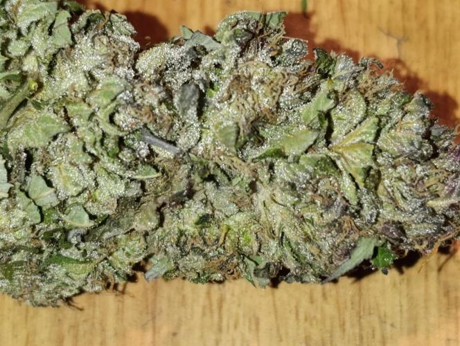 Bay Burger/Outdoor contest. Week 18