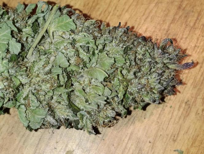 Bay Burger/Outdoor contest. Week 18