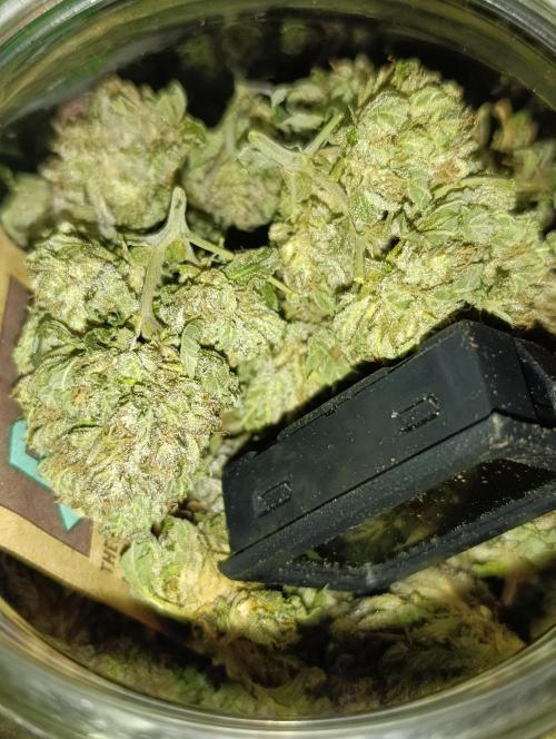 Bay Burger/Outdoor contest. Week 18