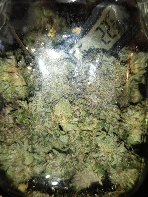 Bay Burger/Outdoor contest. Week 18