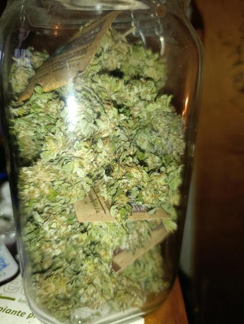 Bay Burger/Outdoor contest. Week 18