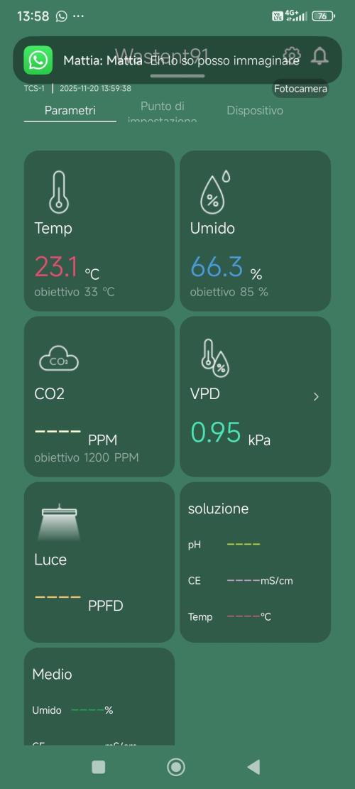 Candy breath Paradise seeds DWC. Week 0