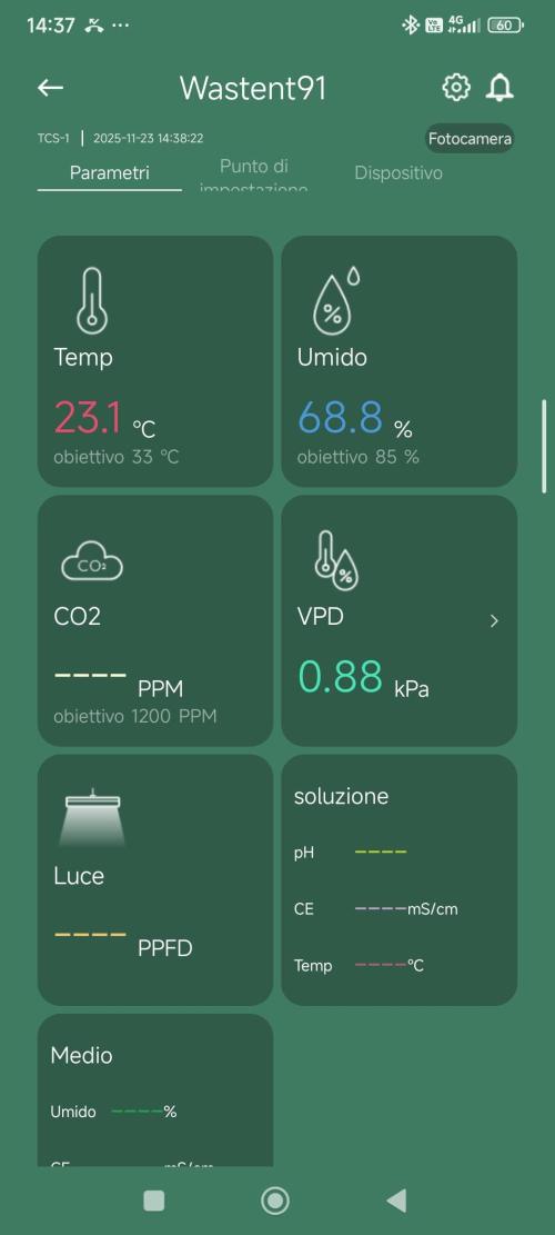 Candy breath Paradise seeds DWC. Week 1