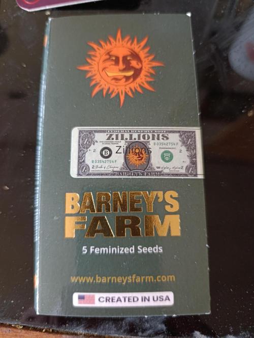 Zillions Frambo. Week 0