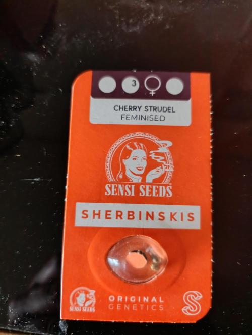 Cherry strudel Sherbisnky/Sensi seeds. Week 0