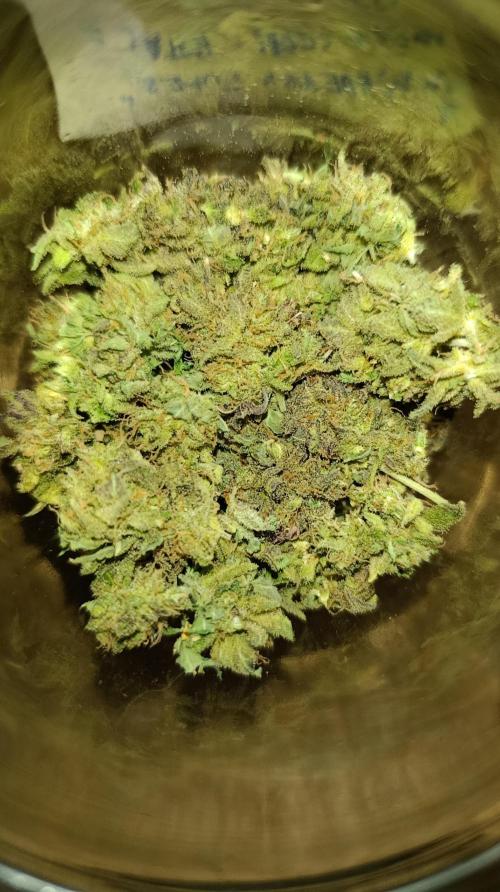 Smashberry Fumez Anesia DWC. Week 17