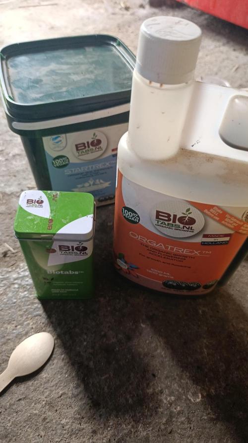 Delimed CBD plus/Sweet CBD  Frambolesco. Week 2