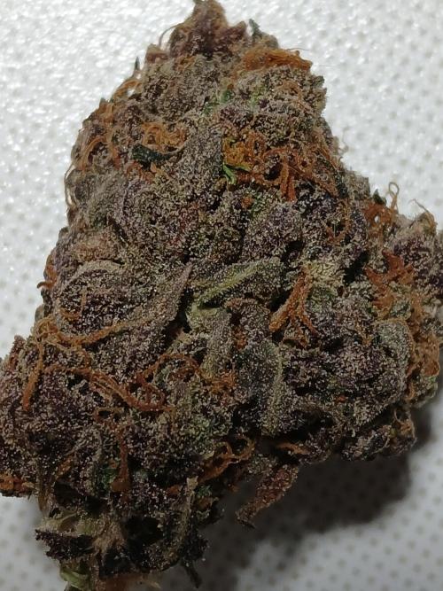 Pineapple Express. Week 8