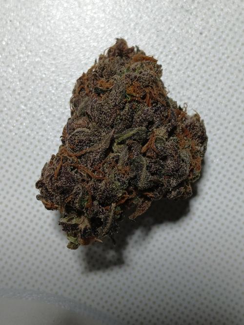 Pineapple Express. Week 8