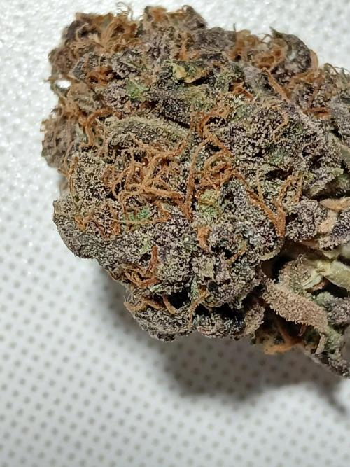 Pineapple Express. Week 8