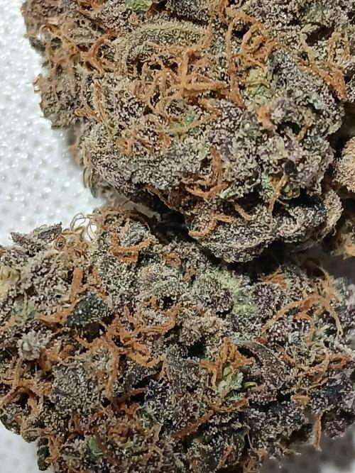 Pineapple Express. Week 8