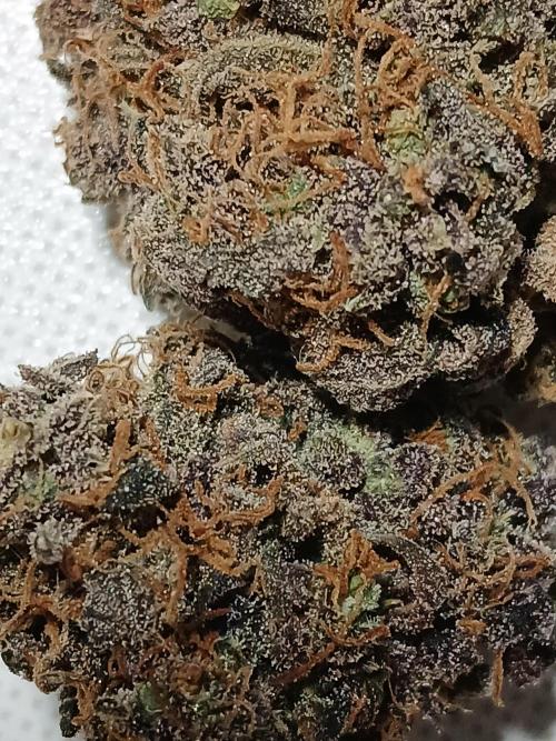 Pineapple Express. Week 8