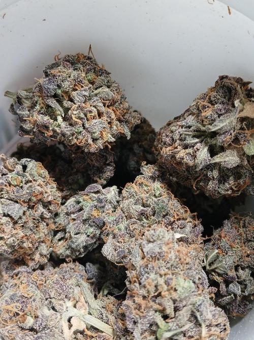 Pineapple Express. Week 8