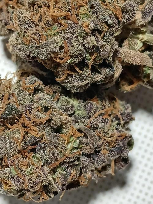 Pineapple Express. Week 8