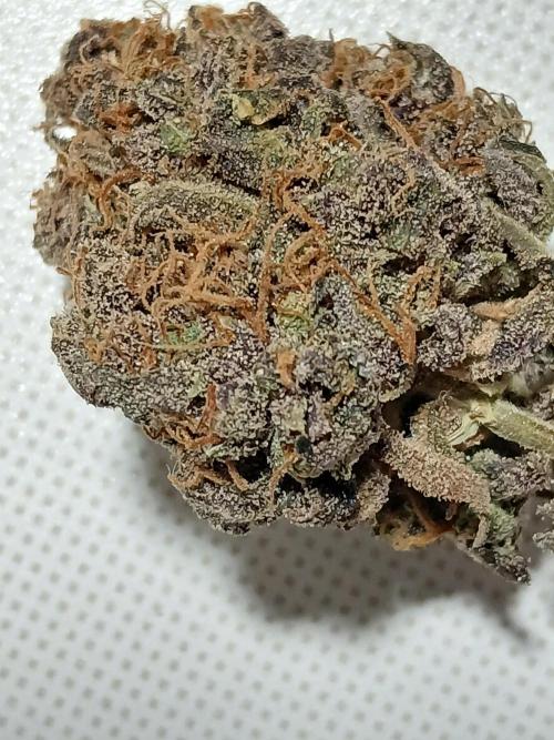 Pineapple Express. Week 8