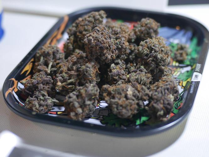 Pineapple Express. Week 8