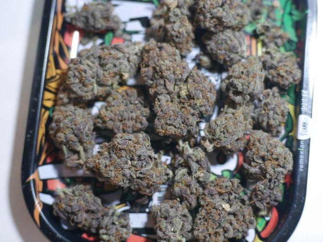 Pineapple Express. Week 8