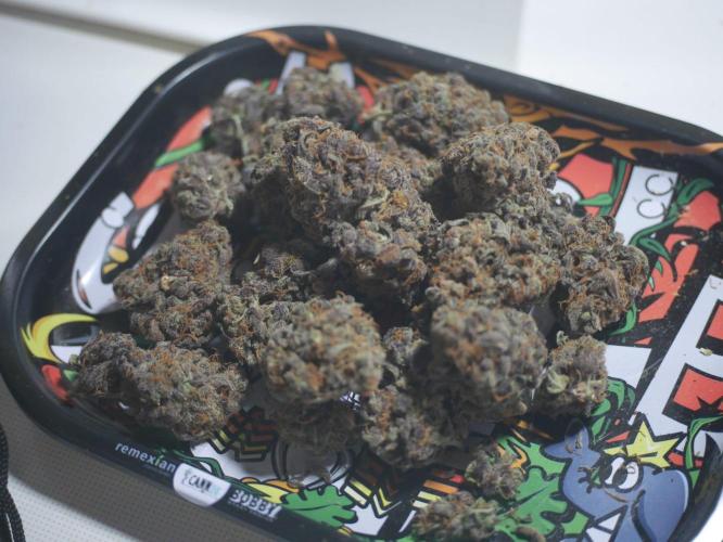 Pineapple Express. Week 8