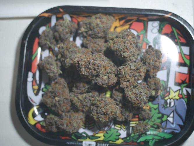 Pineapple Express. Week 8