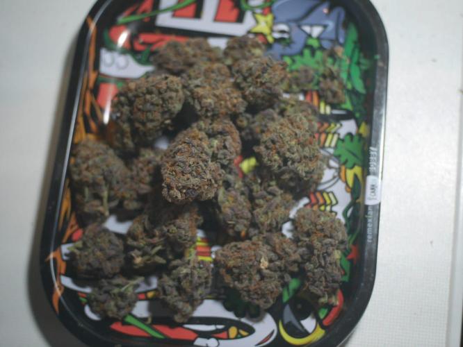 Pineapple Express. Week 8