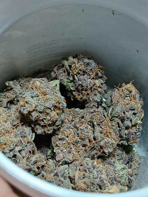 Pineapple Express. Week 8