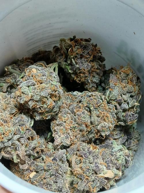 Pineapple Express. Week 8