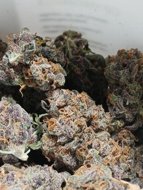 Pineapple Express. Week 8