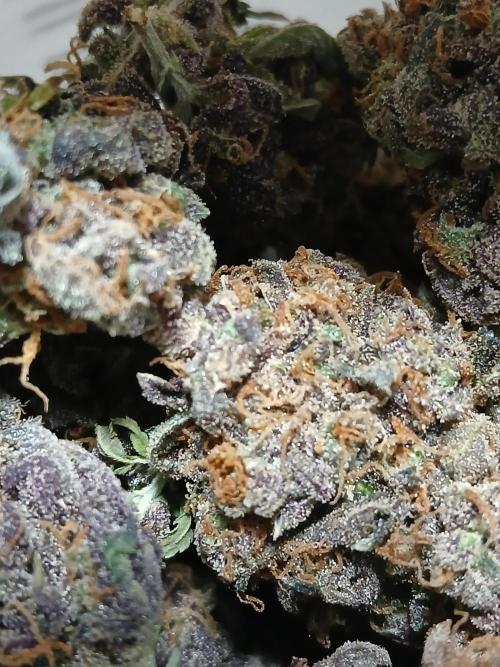 Pineapple Express. Week 8