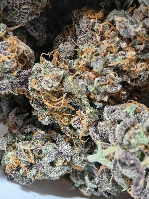 Pineapple Express. Week 8