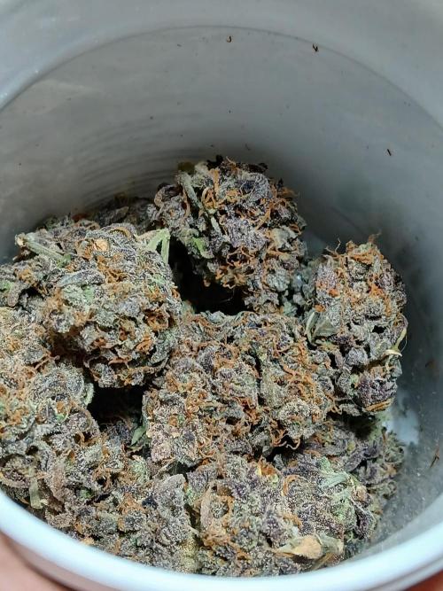 Pineapple Express. Week 8