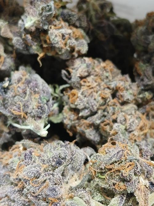 Pineapple Express. Week 8