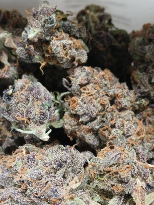 Pineapple Express. Week 8