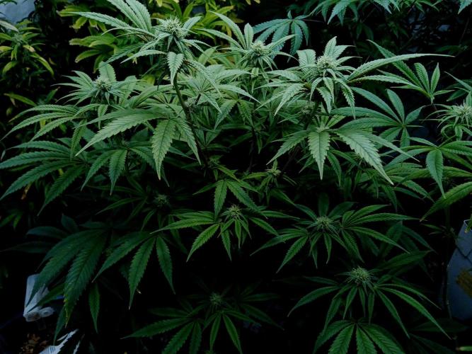 Mac & Cheese. Week 5