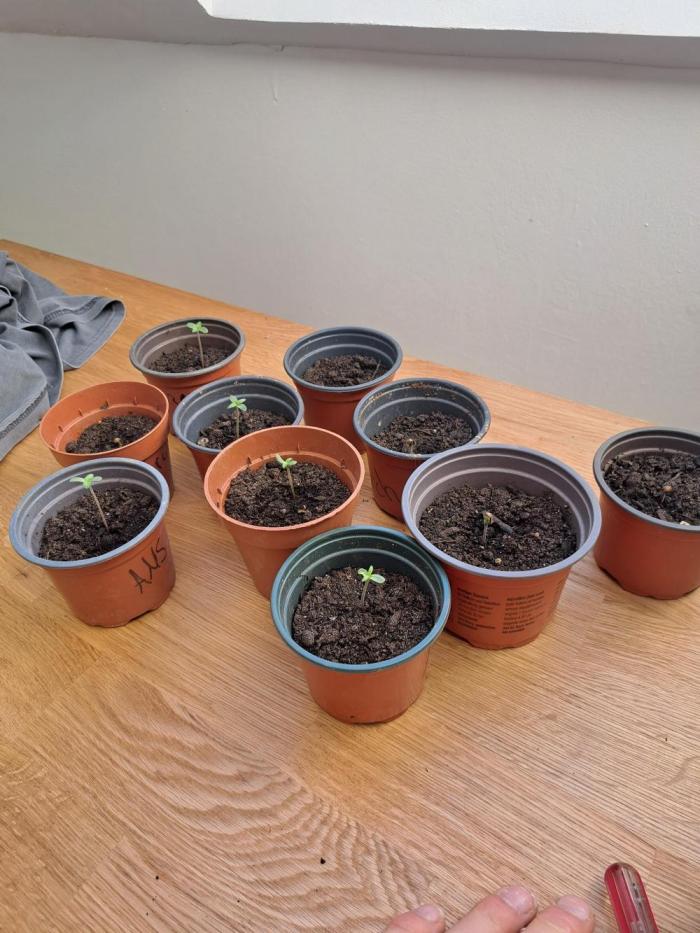 Outdoor Fem 2026. Week 0