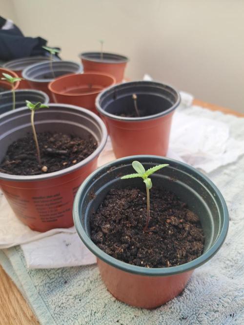 Outdoor Fem 2026. Week 2