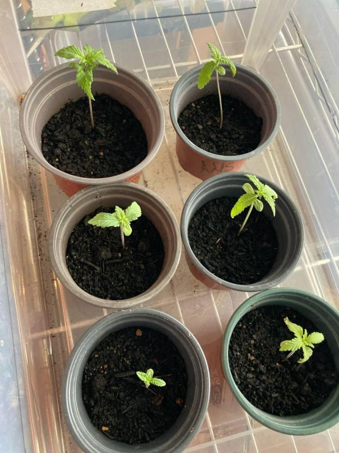 Outdoor Fem 2026. Week 3