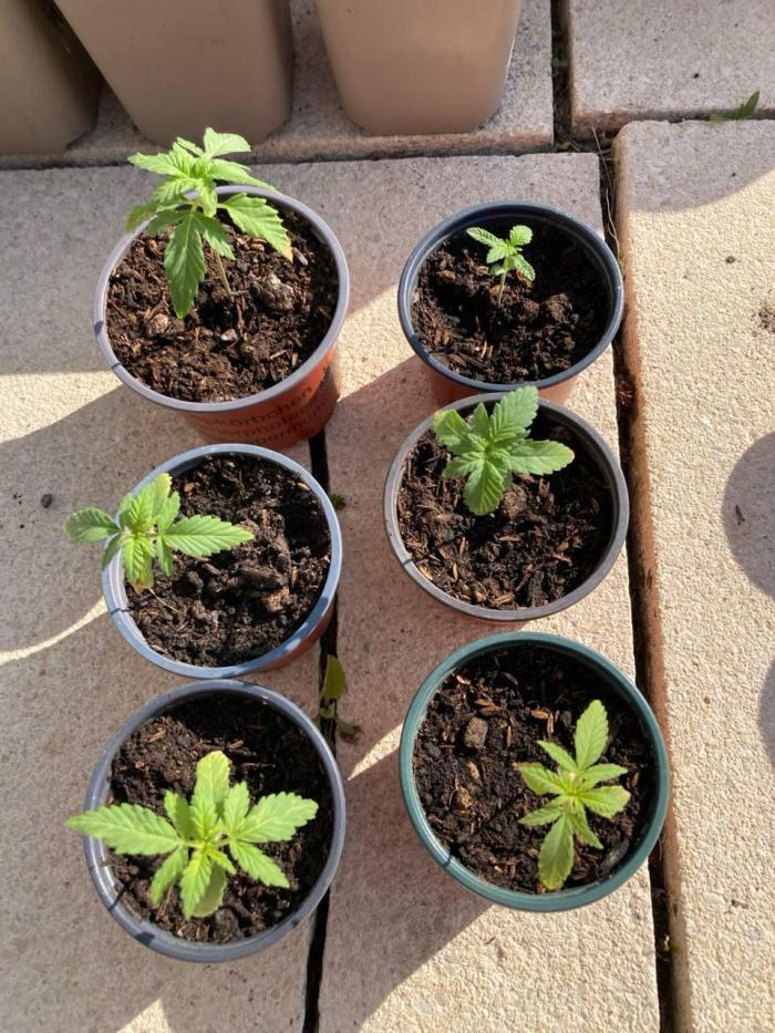 Outdoor Fem 2026. Week 4