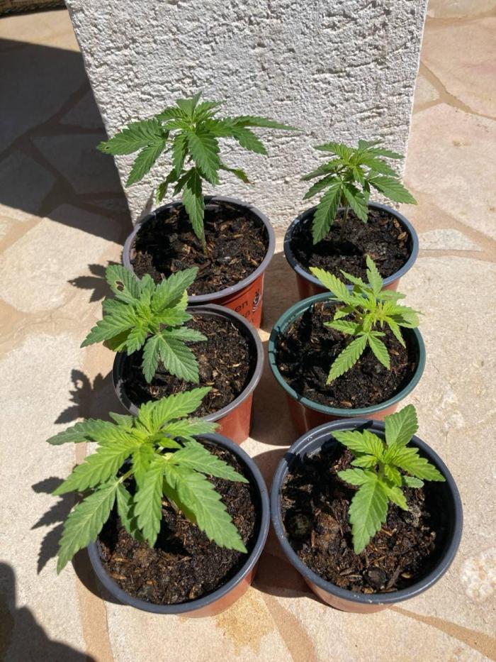 Outdoor Fem 2026. Week 5