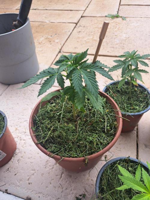 Outdoor Fem 2026. Week 6